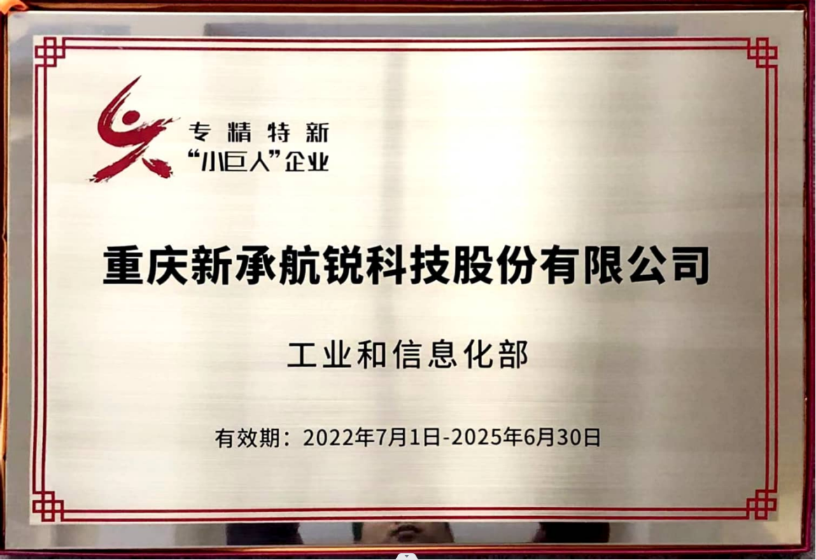 國家小巨人